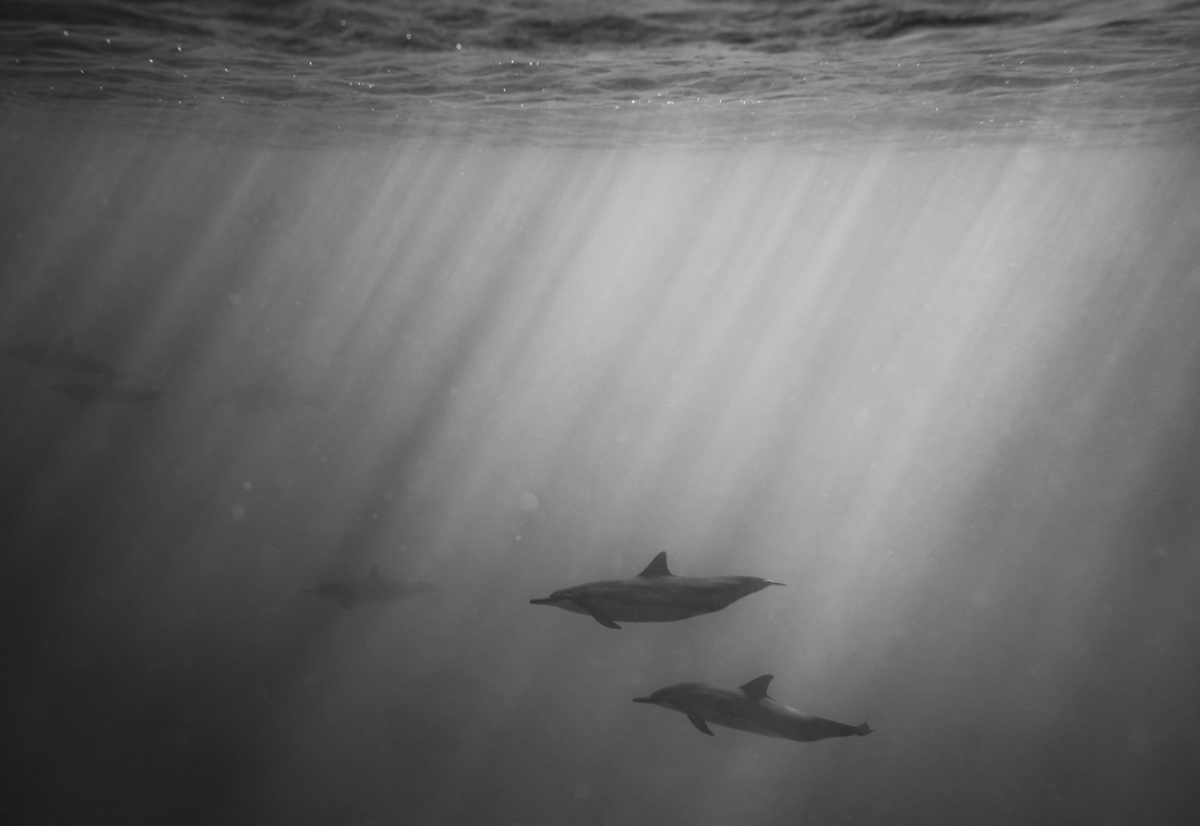 The Power of Positivity and the Potential of Overcoming